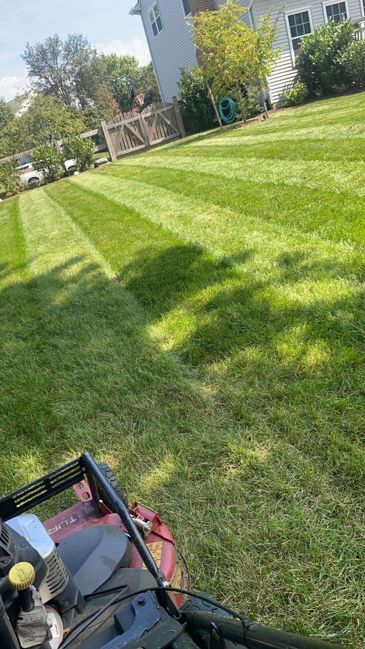 Completed landscape project