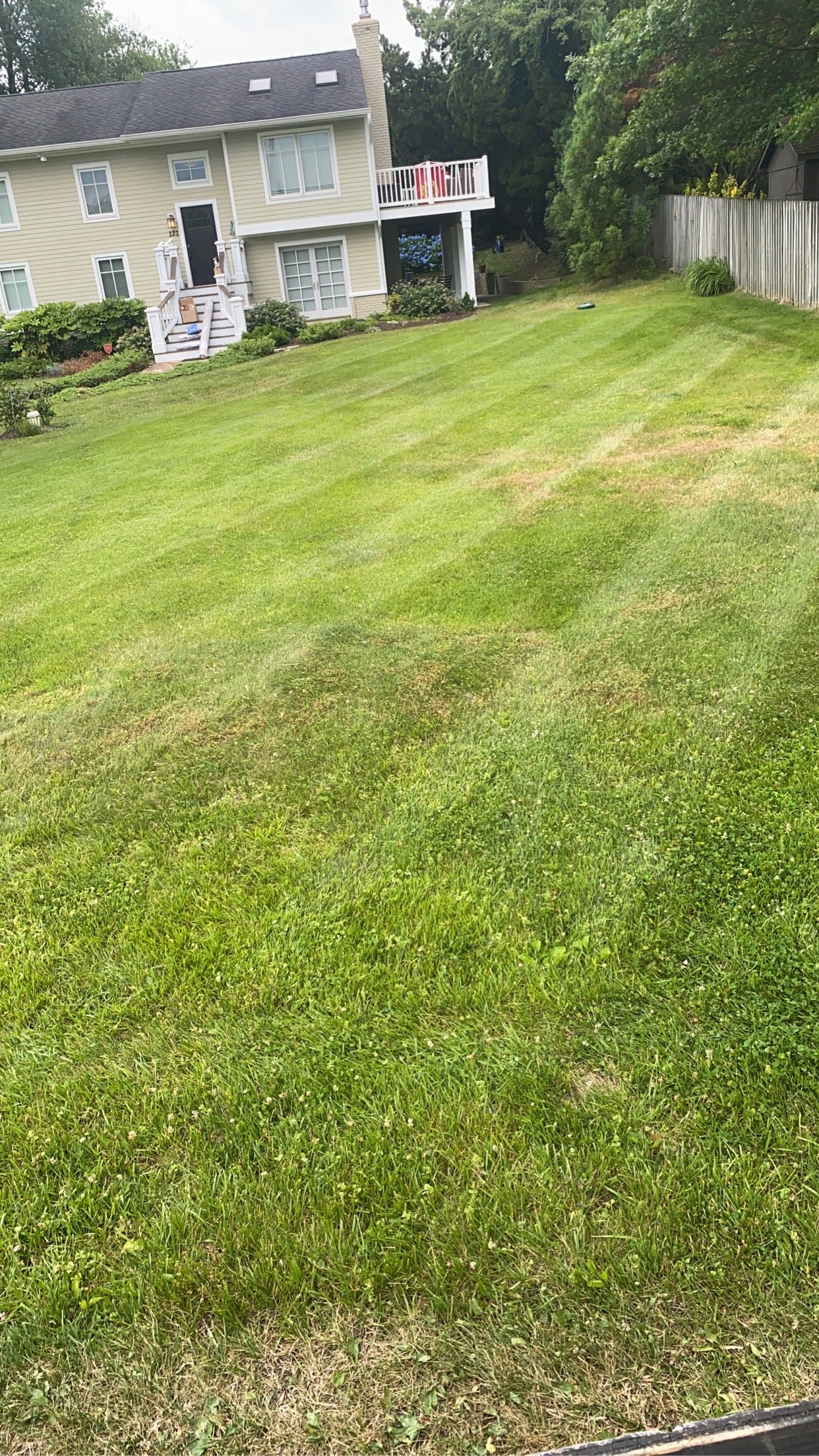Edging and lawn detail work