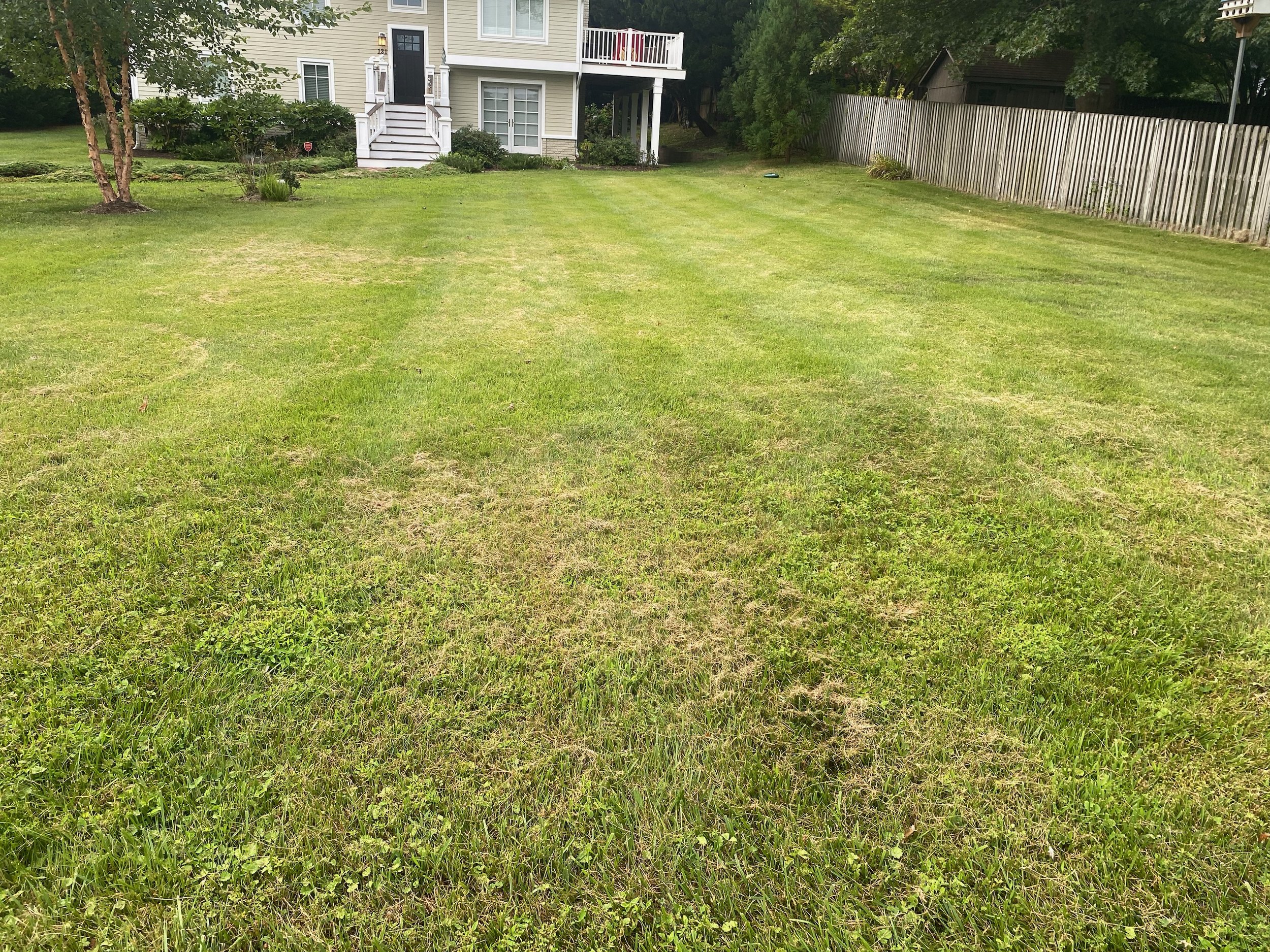 Fresh mulch and garden bed landscaping