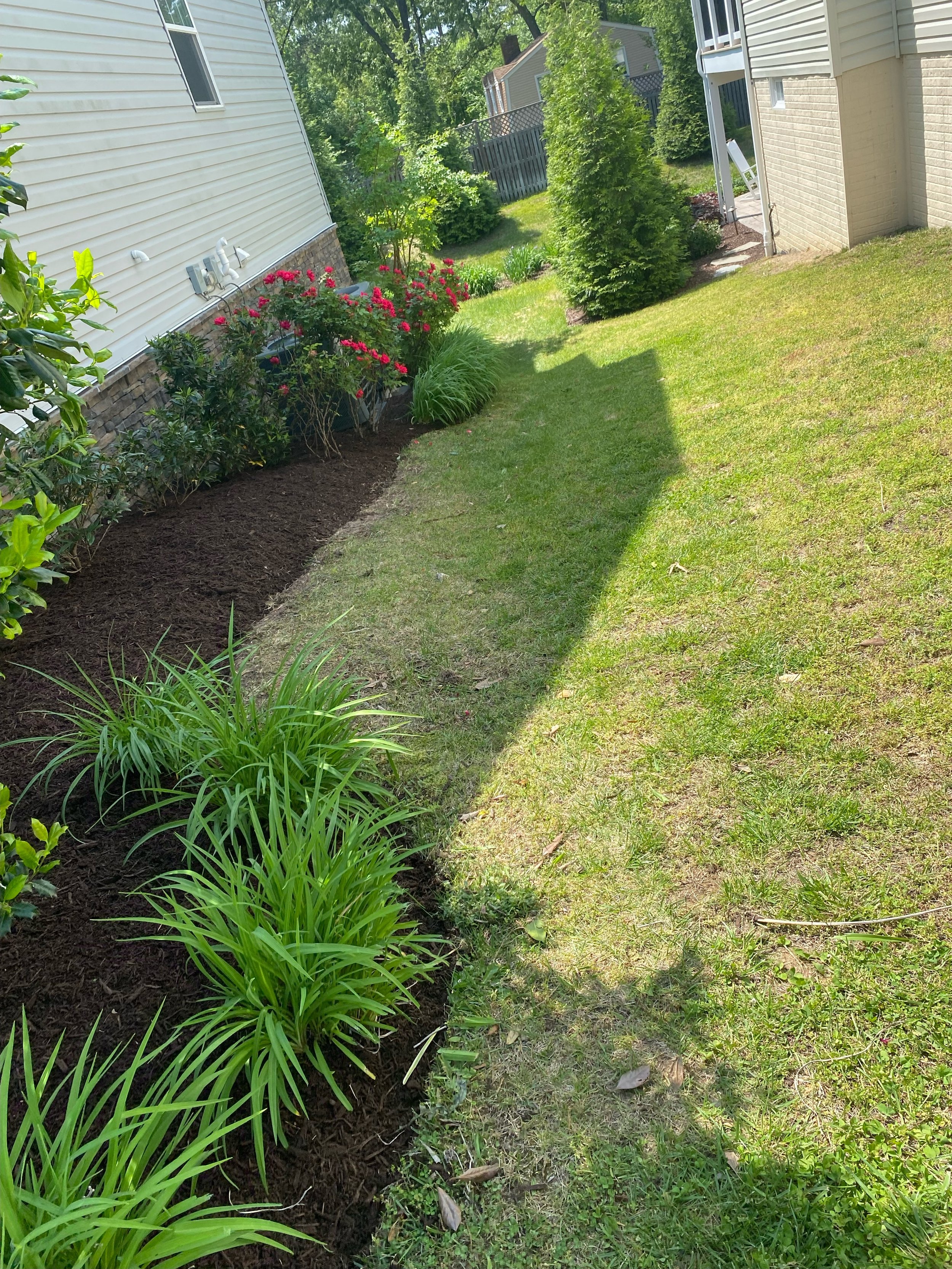 Detailed planting and landscaping project